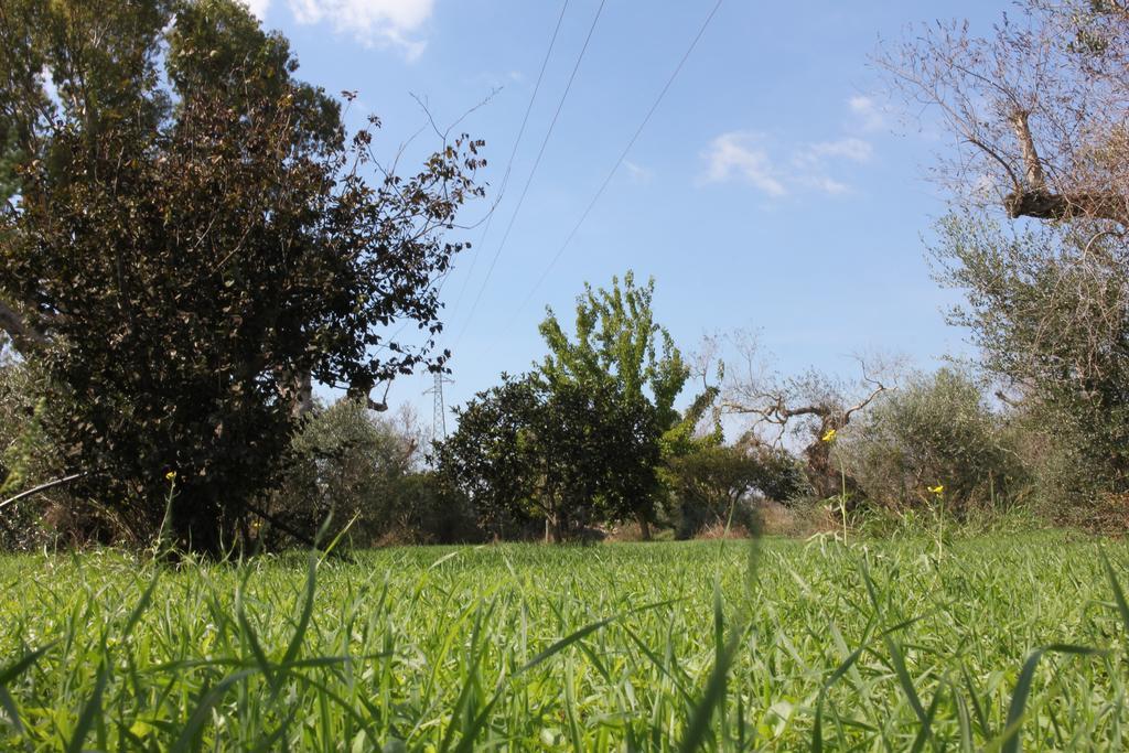 Villa Nanni Gallipoli Exterior photo